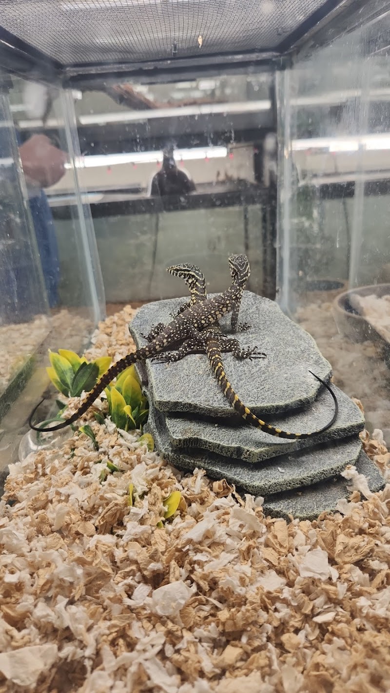 Reptile Emporium & Aquatic Center - Photo 5