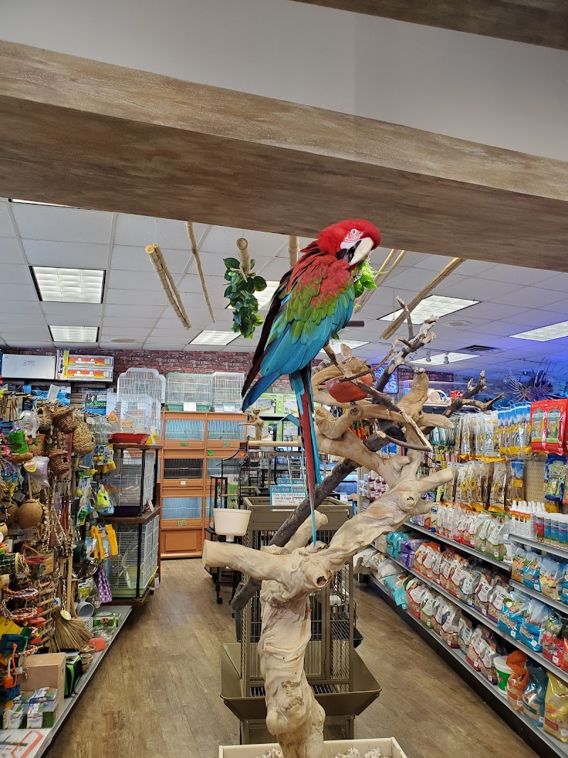 The Ark Pet Shop - Photo 2