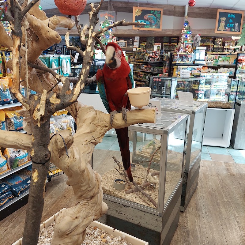 The Ark Pet Shop - Photo 5