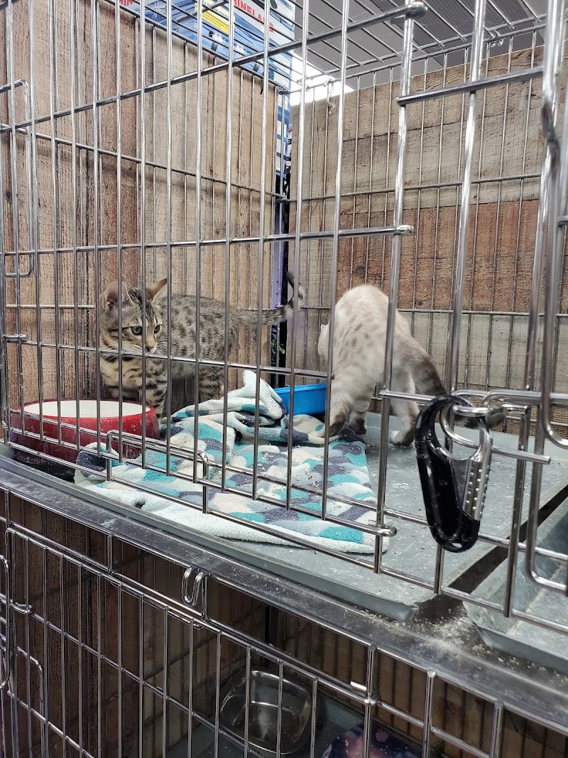 Uncle Bill's Pet Centers Greenwood - Photo 2