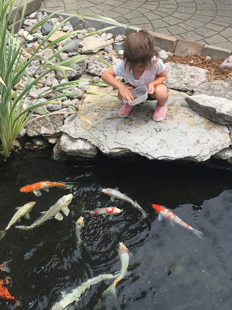 Economy Aquatic Gardens - Photo 2