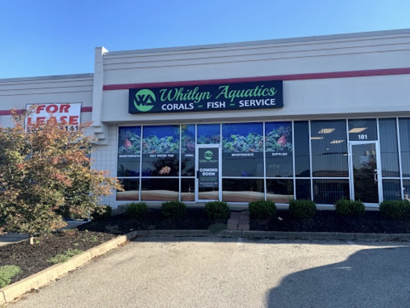 Derby City Aquatics - Photo 1