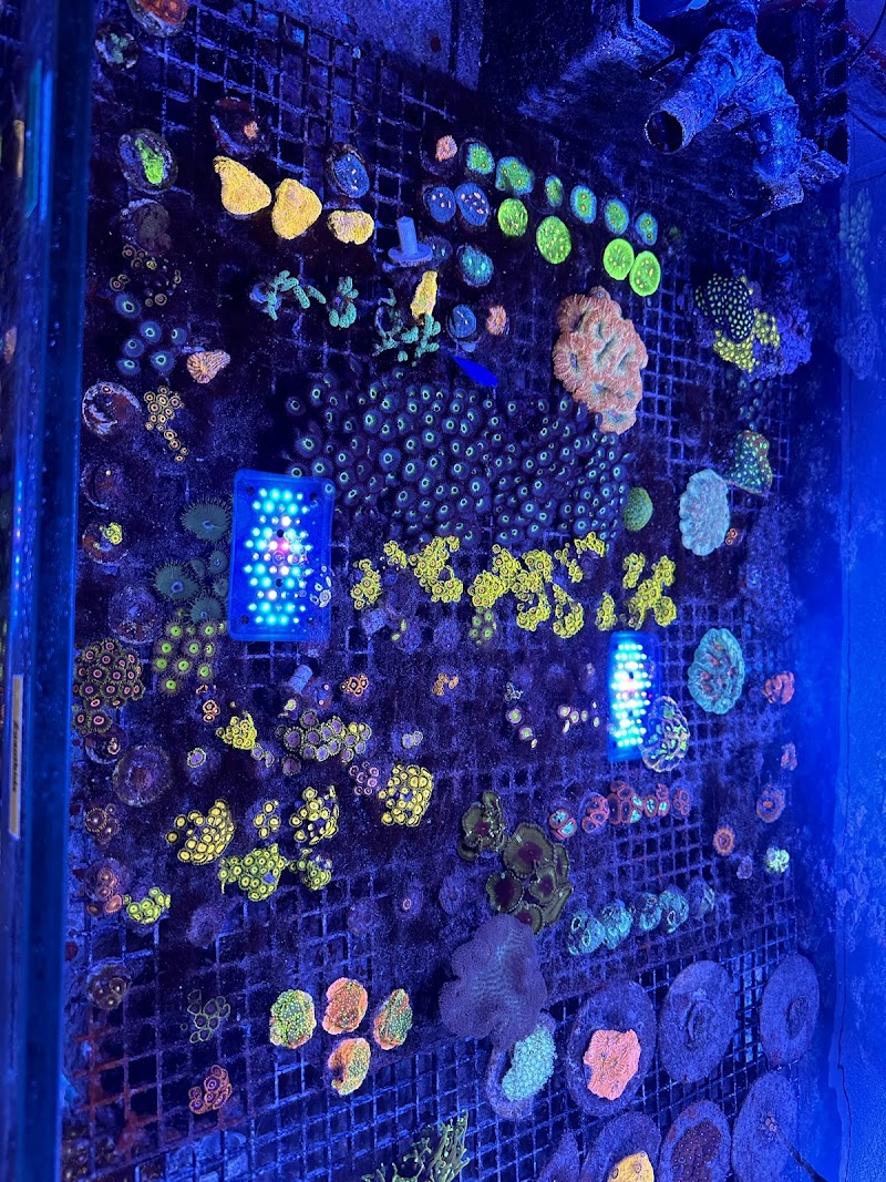 Derby City Aquatics - Photo 3