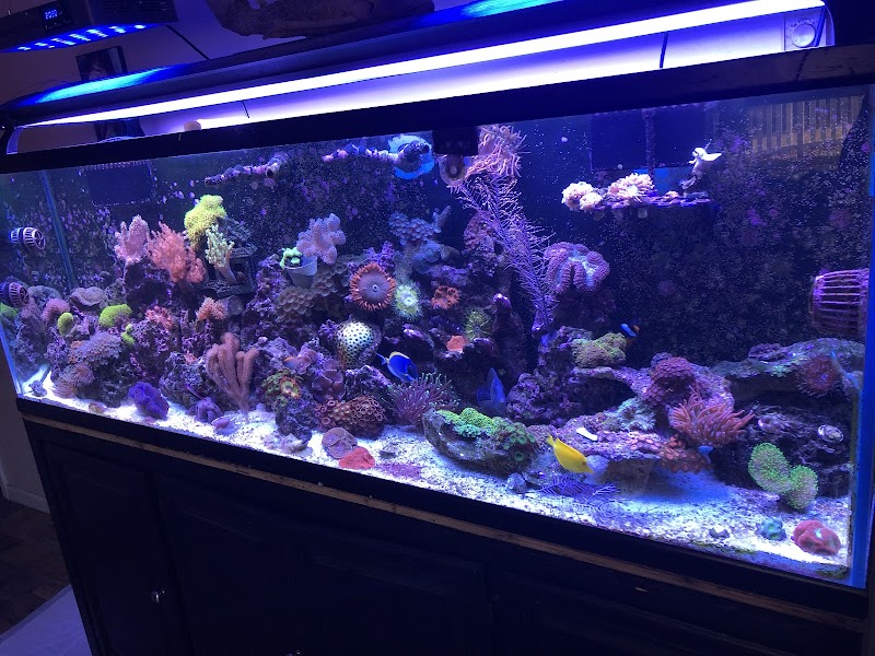 Derby City Aquatics - Photo 4