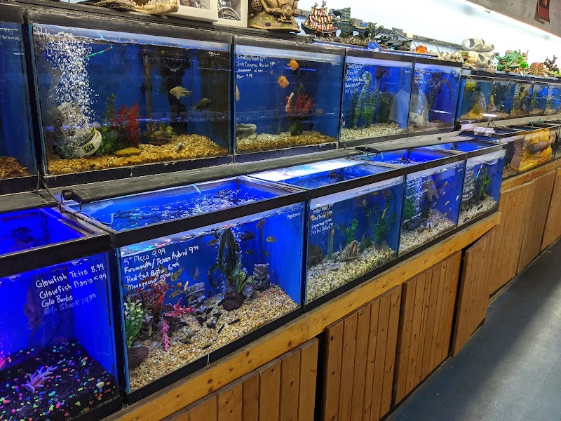 Greentree Pet Center - Photo 2