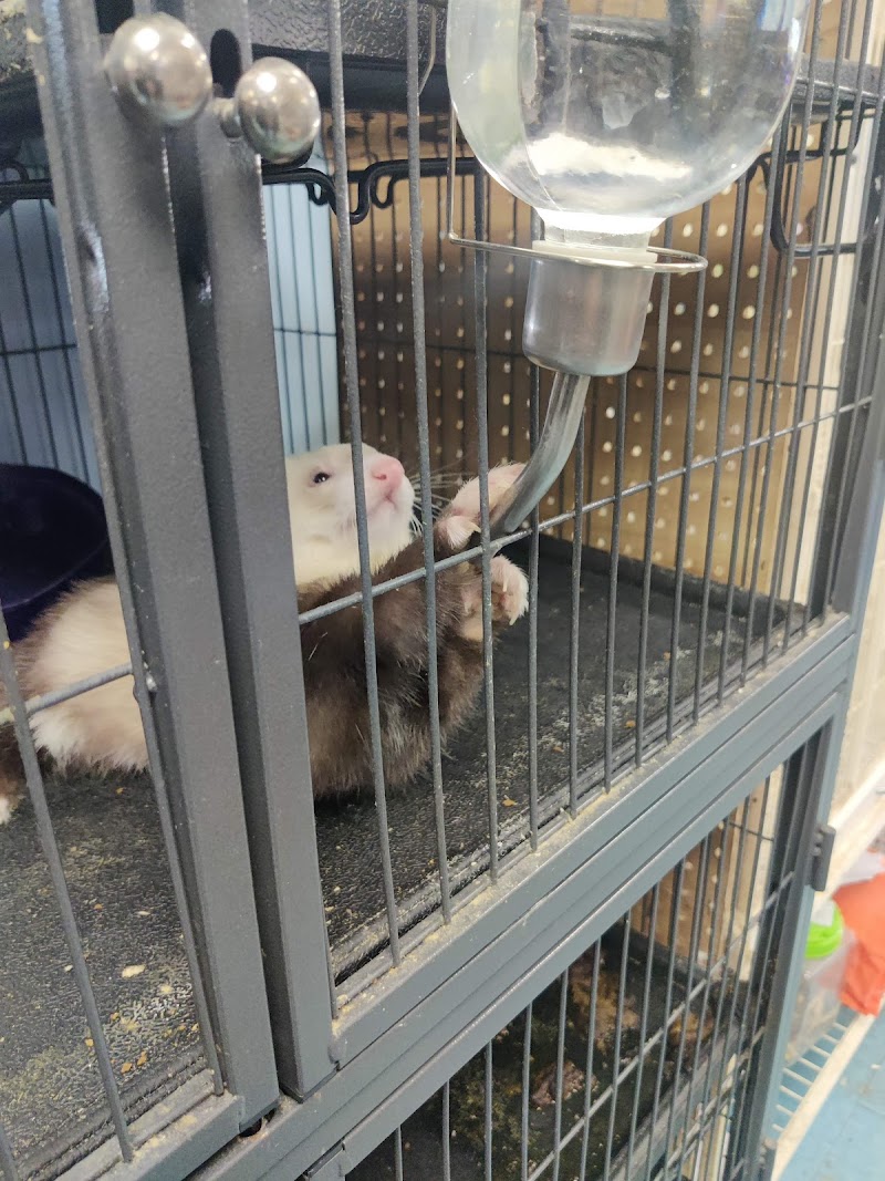 Greentree Pet Center - Photo 4