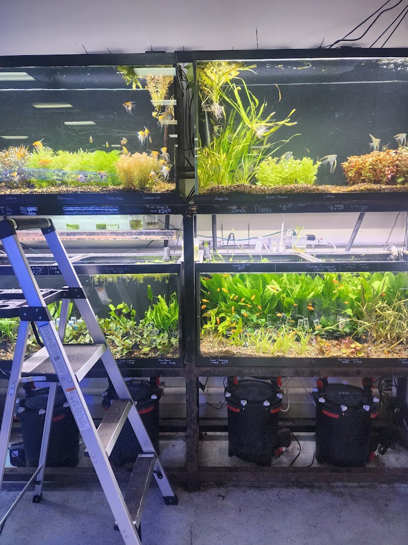 Sandy's Pet Shop - Photo 2