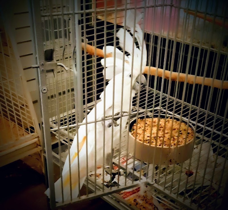 Critter Corner Pet Shop - Photo 1