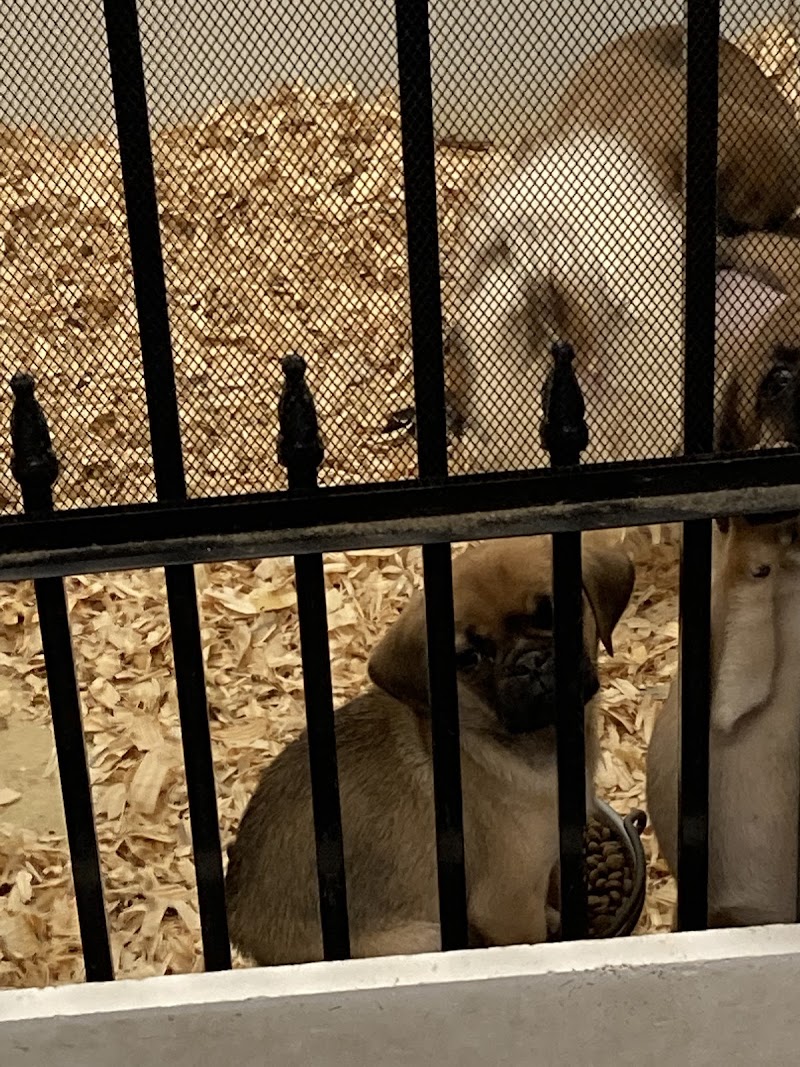 Critter Corner Pet Shop - Photo 2