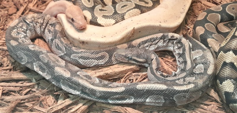 Critter Corner Pet Shop - Photo 3