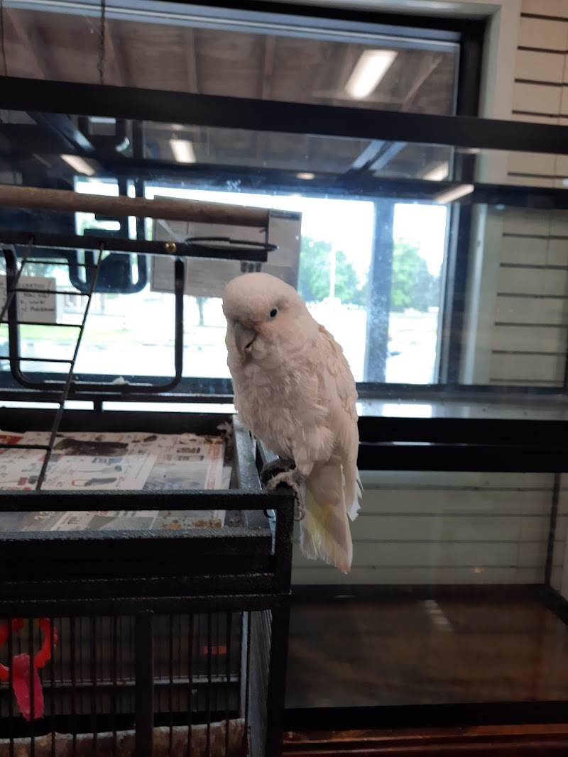 Critter Corner Pet Shop - Photo 4