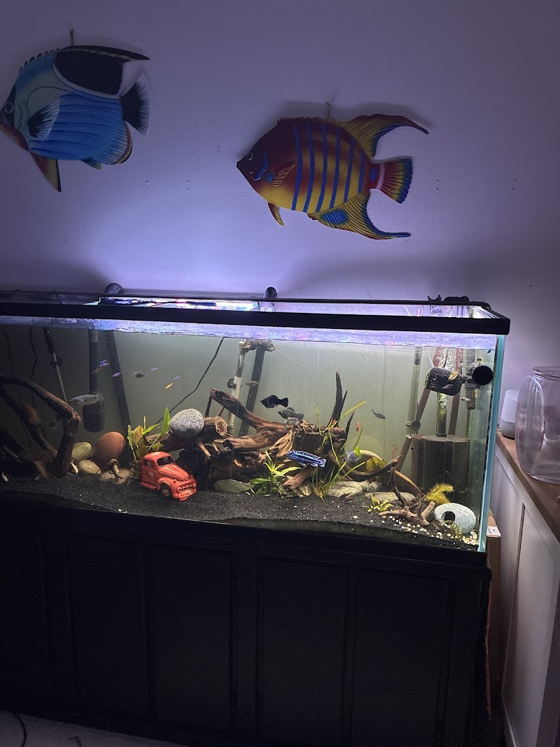 Fish and Friends Pets - Photo 3