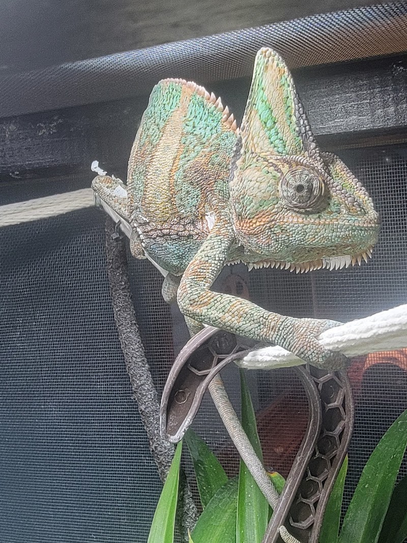 Fish and Friends Pets - Photo 4