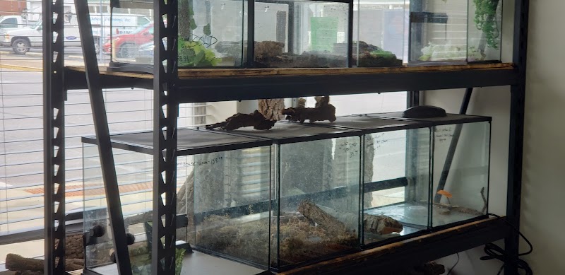 Wabash River Reptiles and Aquatics - Photo 2