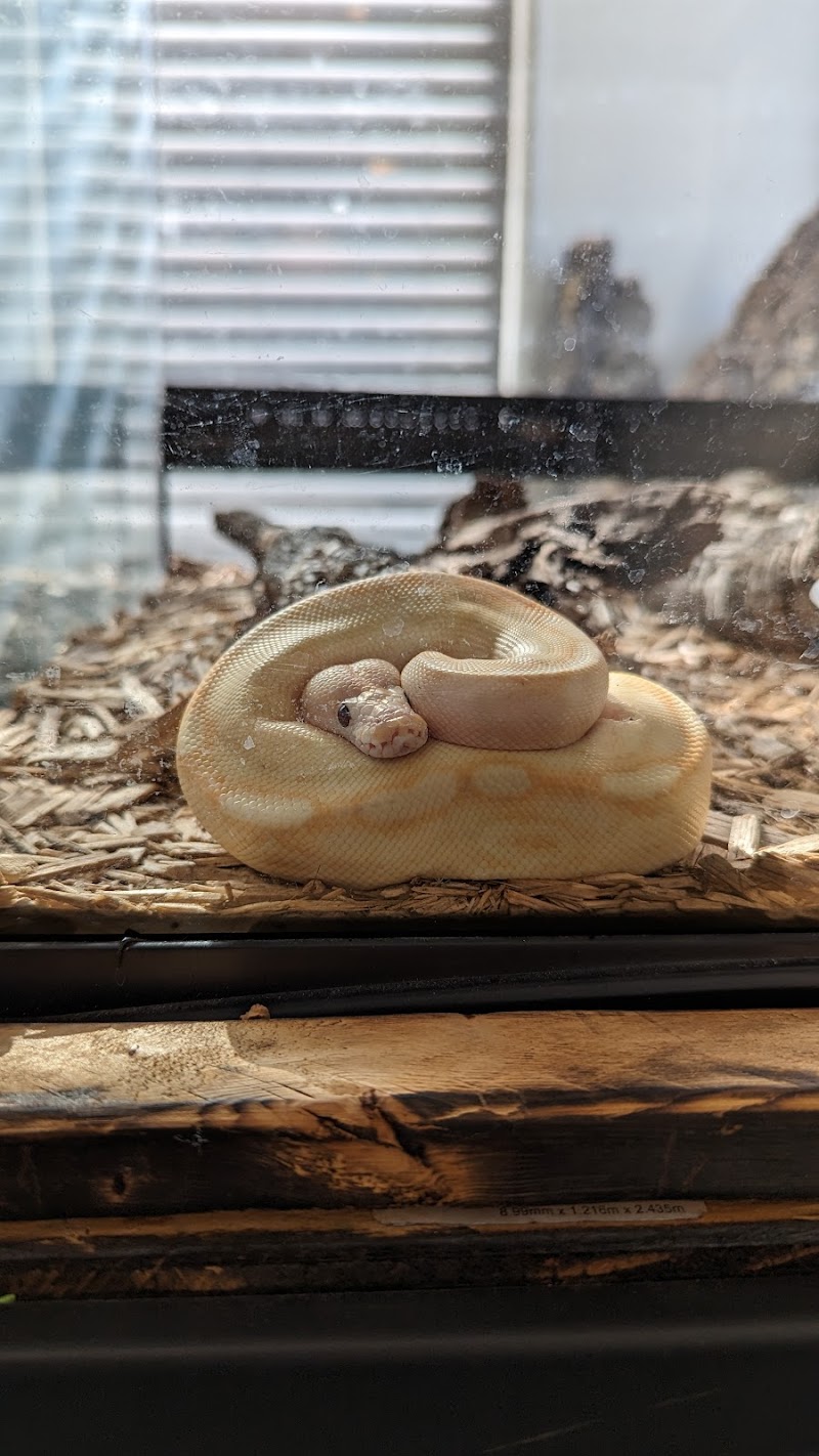 Wabash River Reptiles and Aquatics - Photo 3