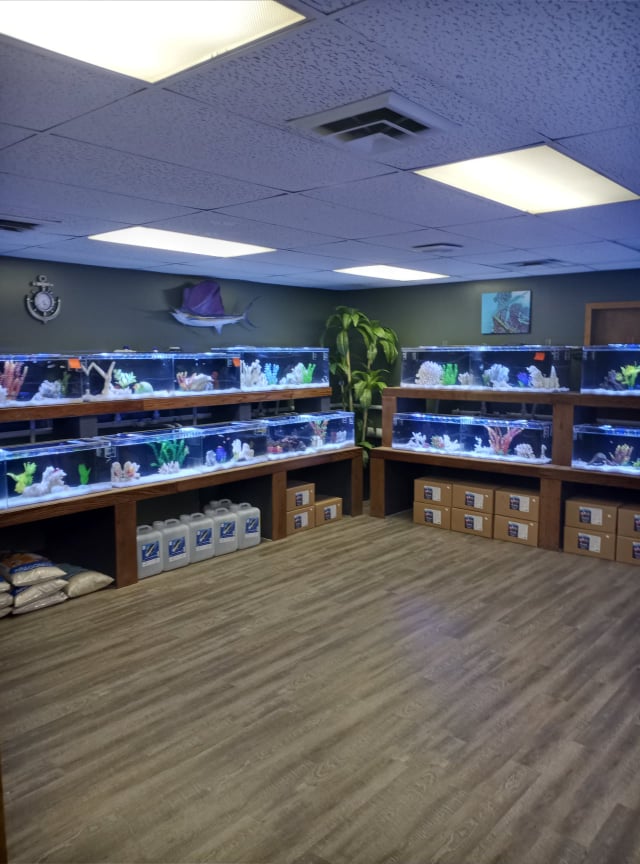 The Aquarium - Photo 2