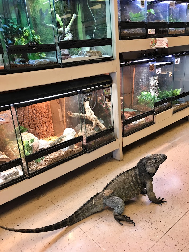 Tails & Scales Pet Shop - Photo 4
