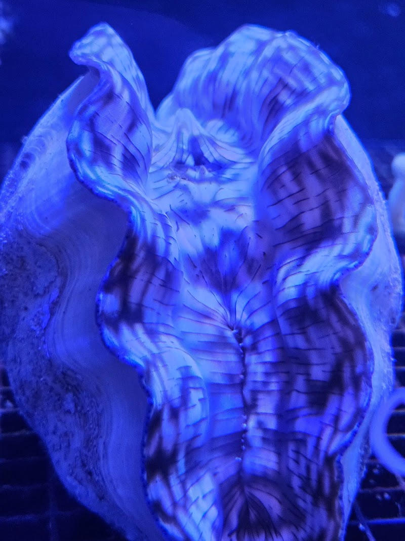 Marine Extremes - Photo 4