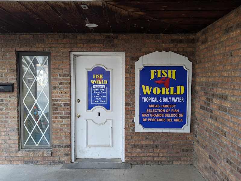 Fish World - Photo 1
