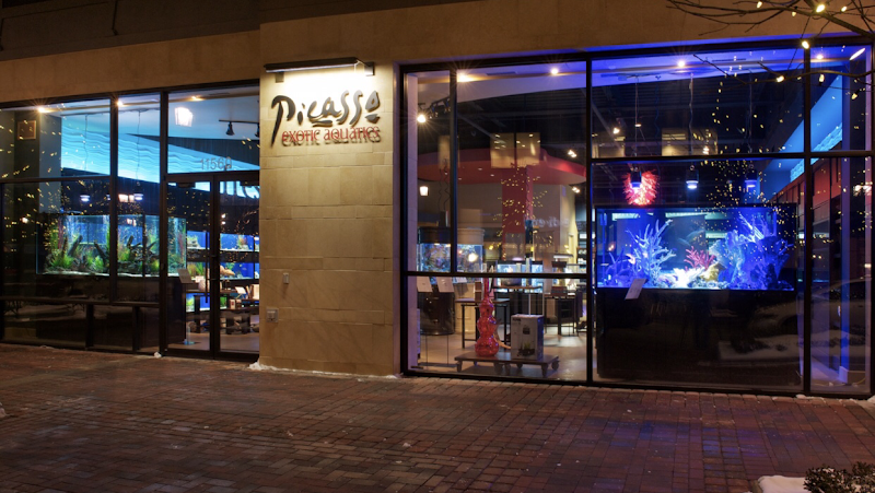 Picasso Exotic Aquatics - Photo 1