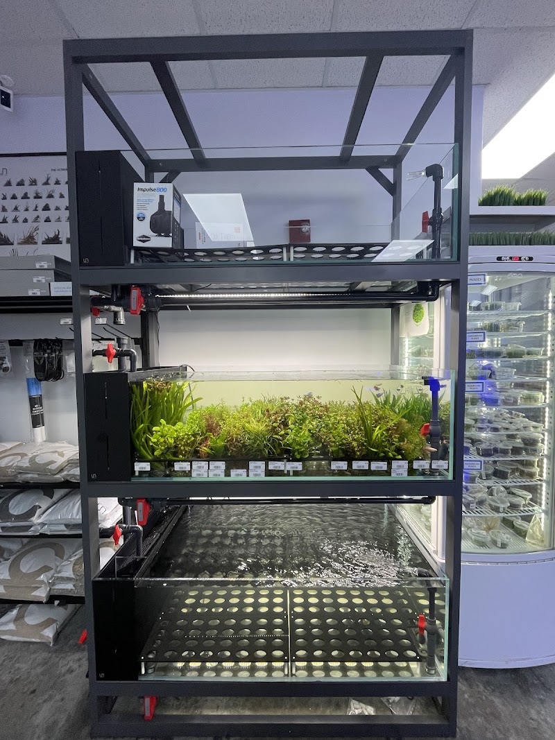 Picasso Exotic Aquatics - Photo 2