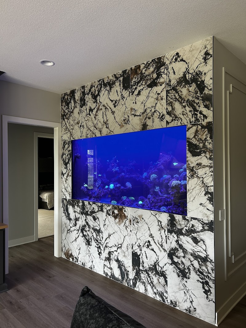 Picasso Exotic Aquatics - Photo 3