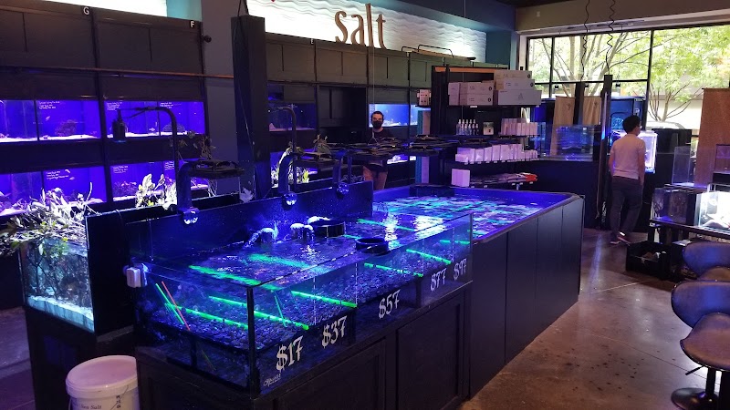 Picasso Exotic Aquatics - Photo 5