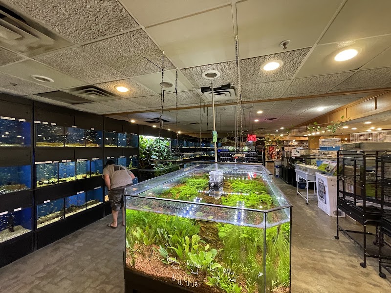 Miles of Exotics - Photo 3