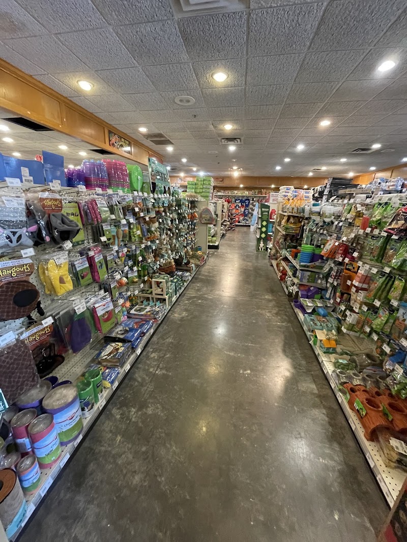 Miles of Exotics - Photo 5