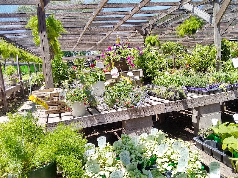 Ward's Garden Center & Cafe - Photo 5