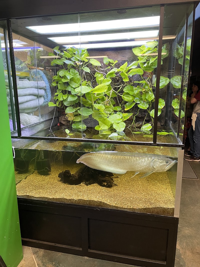 Olathe Pet Shop - Photo 3