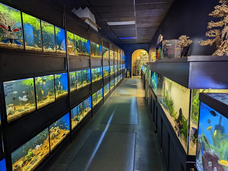 Olathe Pet Shop - Photo 4