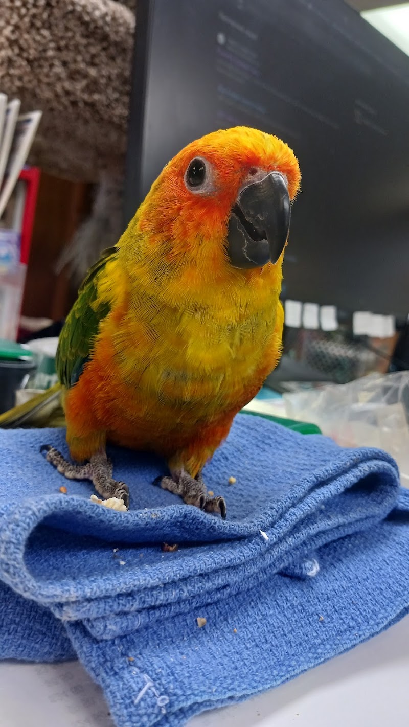 Pet Life By Roberts - Photo 2