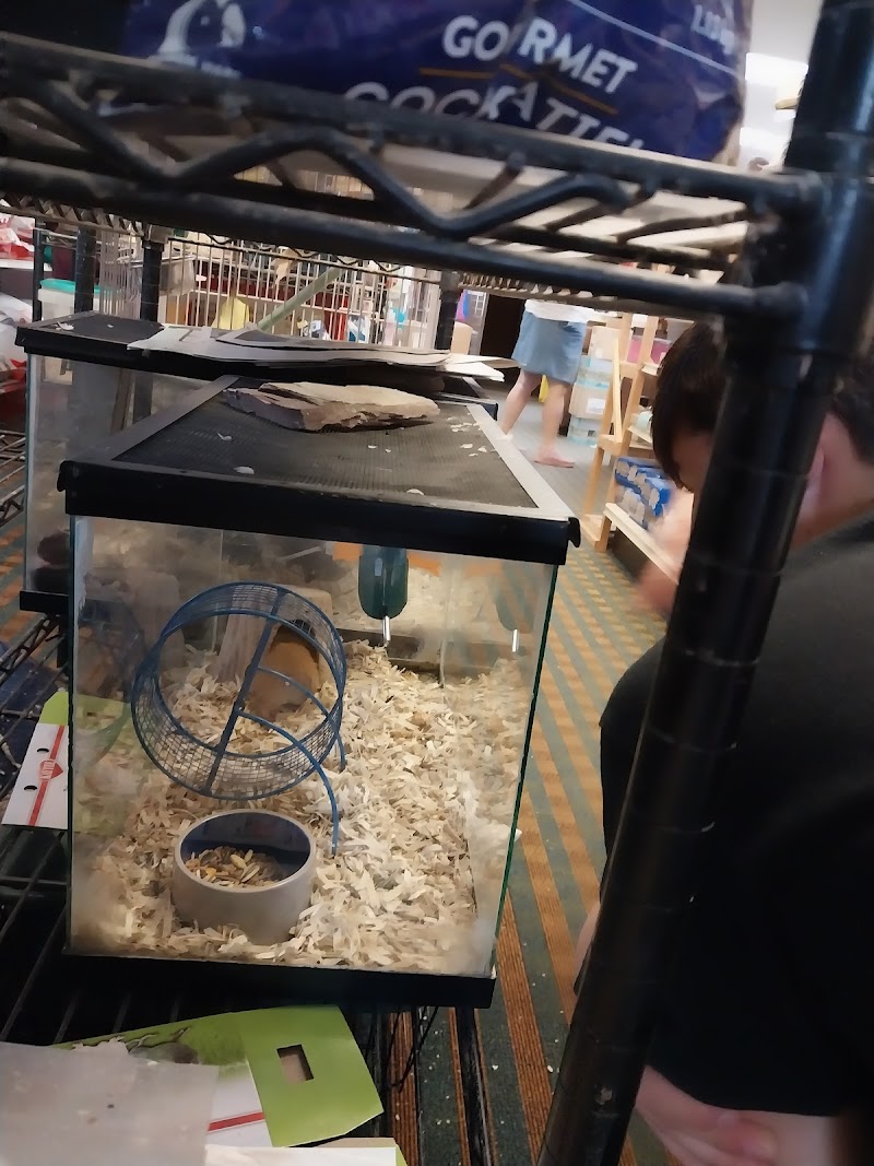 Pet Life By Roberts - Photo 5