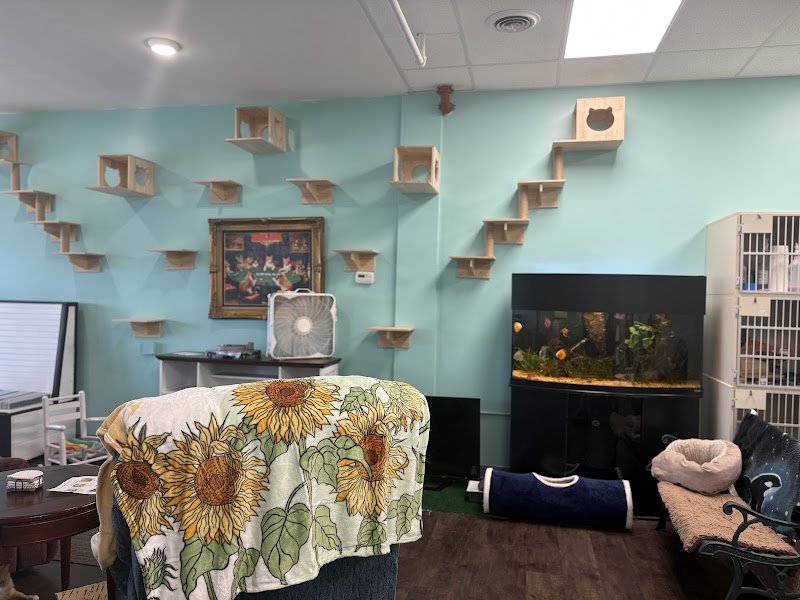 Sunflower Natural Pet Supplies - Photo 3