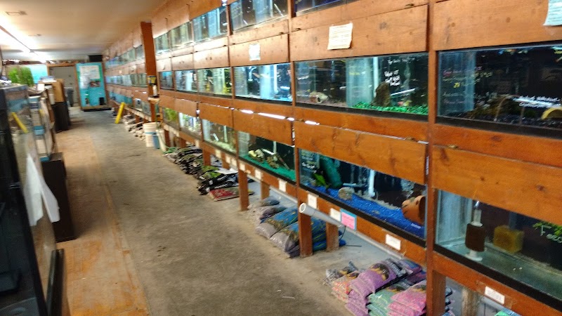 Sunflower Natural Pet Supplies - Photo 5