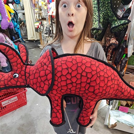 Paws-N-Claws Pet Shop - Photo 4