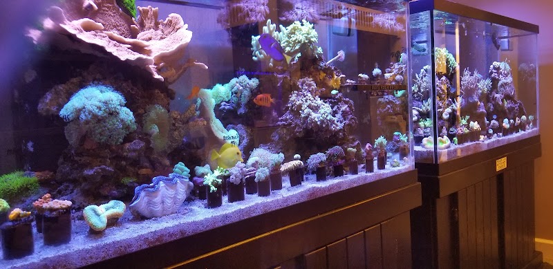 In The Reefs - Photo 2