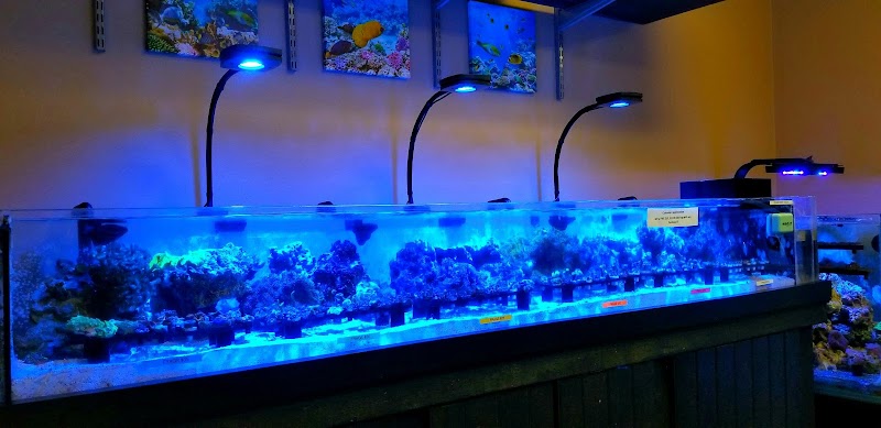 In The Reefs - Photo 5