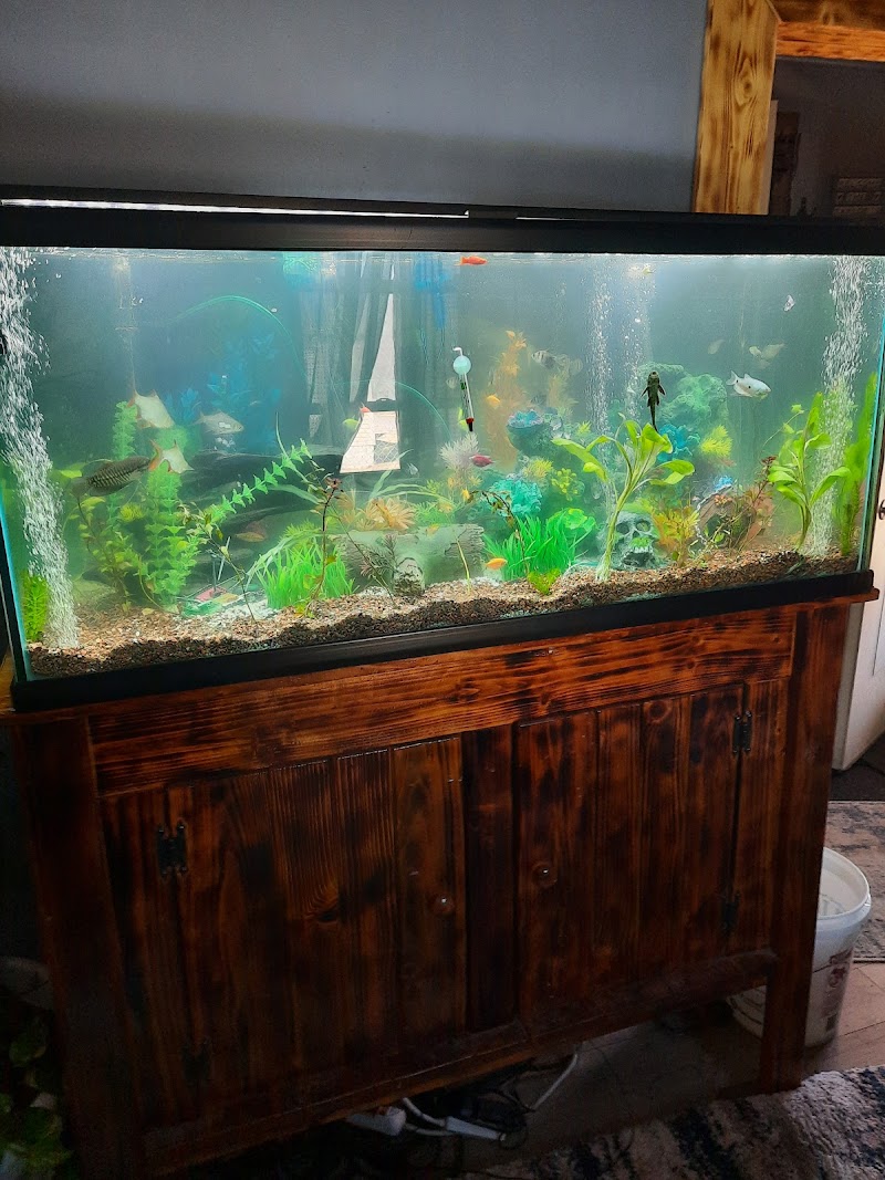 Claws & Paws Pet Store - Photo 3