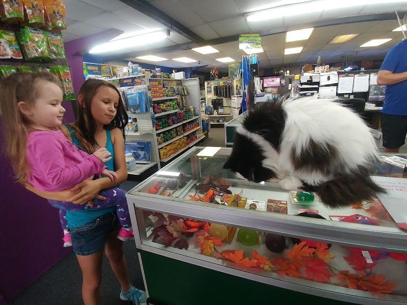 Claws & Paws Pet Store - Photo 4