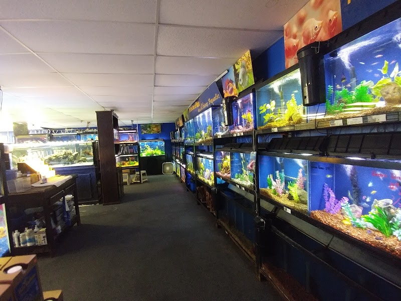 Claws & Paws Pet Store - Photo 5