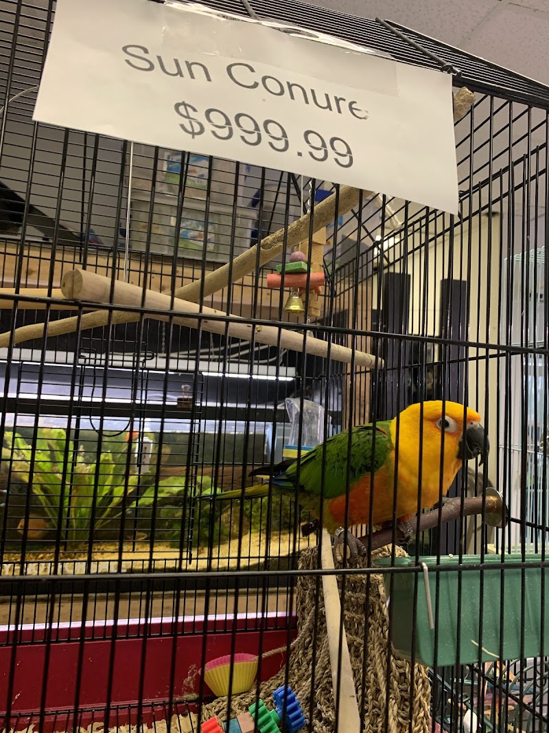 Scales Tails - Aquatics Emporium & Pet Store LLC - Photo 1