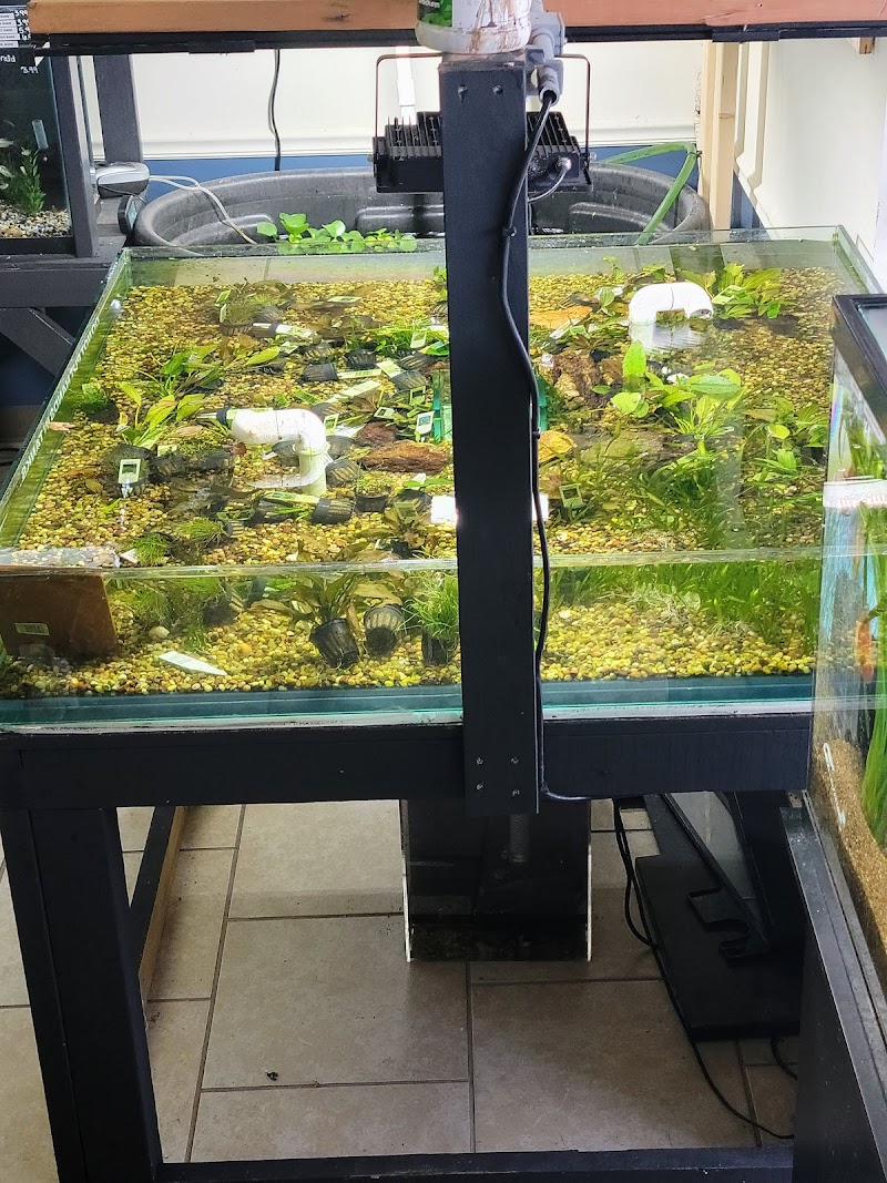 Scales Tails - Aquatics Emporium & Pet Store LLC - Photo 3