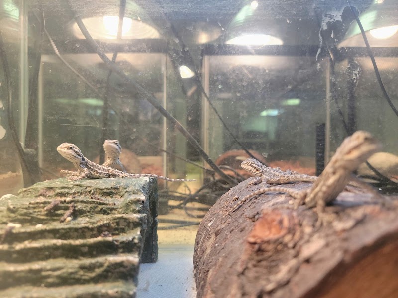 Scales Tails - Aquatics Emporium & Pet Store LLC - Photo 5