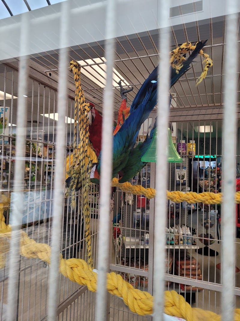 Petland Topeka - Photo 3