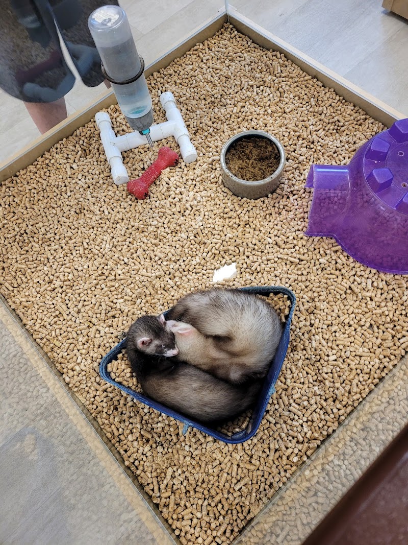 Petland Topeka - Photo 4