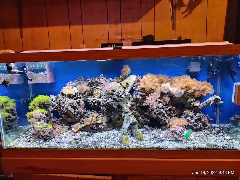 Bert's Pet Center - Photo 2