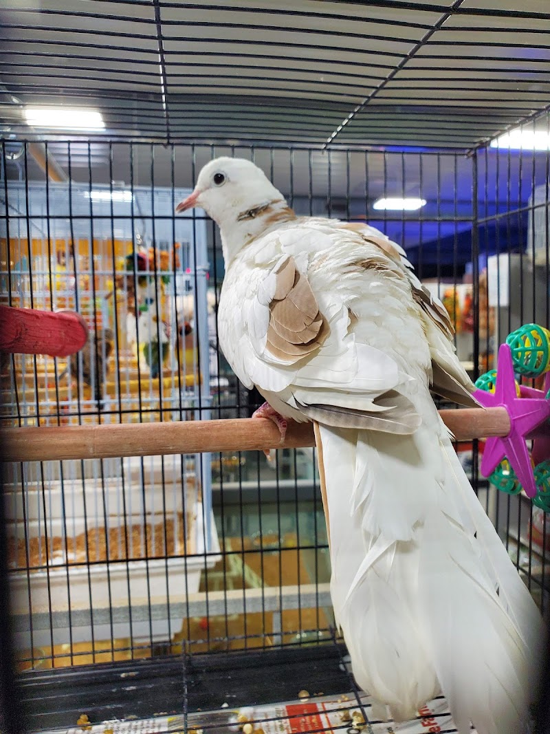 Bert's Pet Center - Photo 3