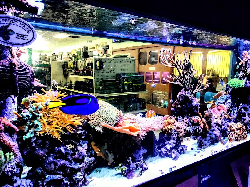 Bert's Pet Center - Photo 4